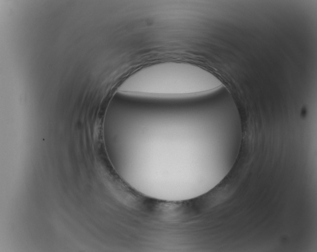 X0000114390139200910161041