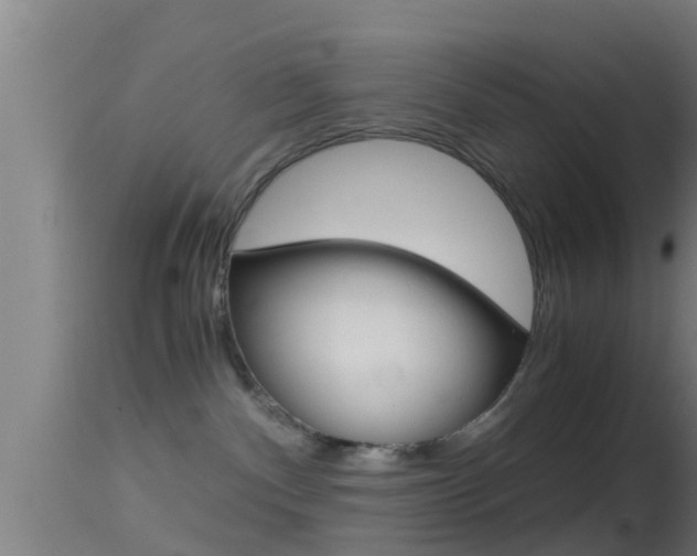 X0000114390140200910161041