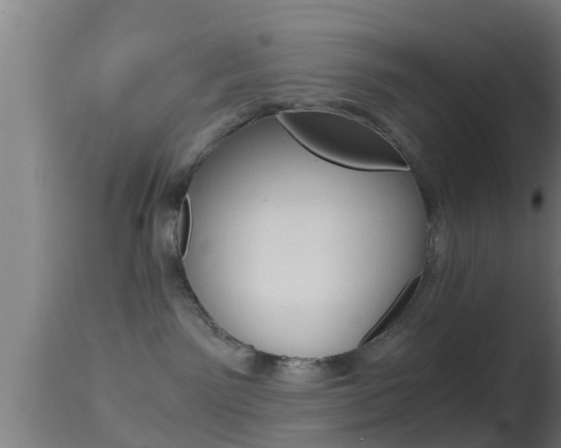 X0000114390141200910161041