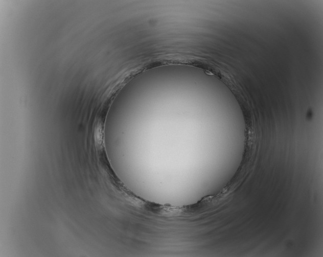 X0000114390143200910161041