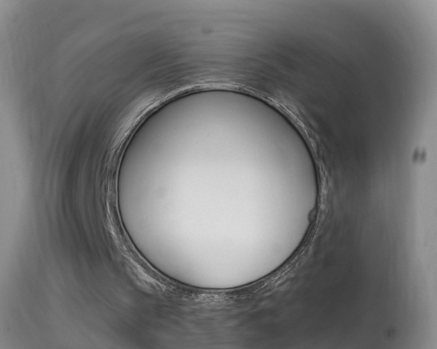 X0000114390145200910161040