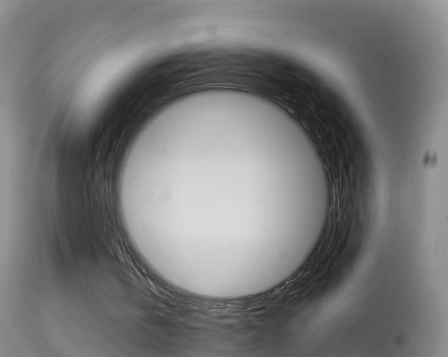 X0000114390146200910161040