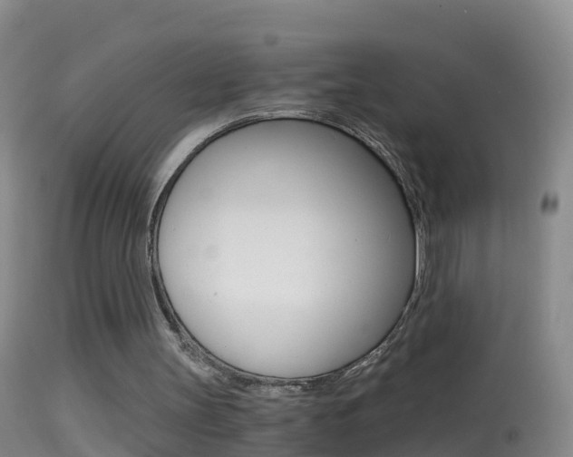 X0000114390147200910161040