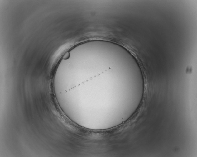 X0000114390149200910161040