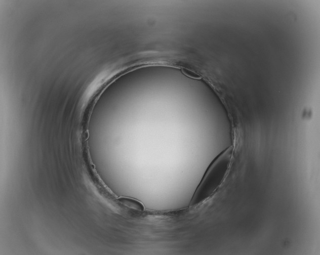 X0000114390150200910161040