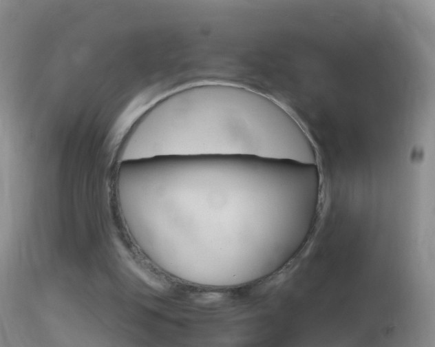 X0000114390151200910161040
