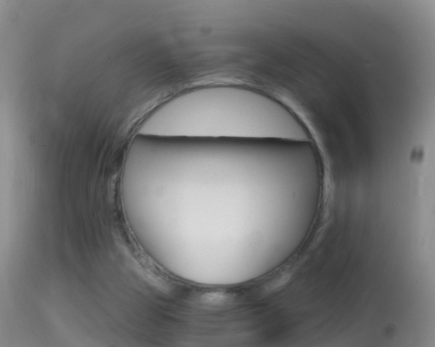 X0000114390153200910161040