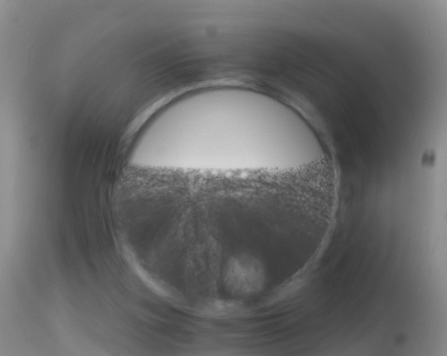 X0000114390155200910161040