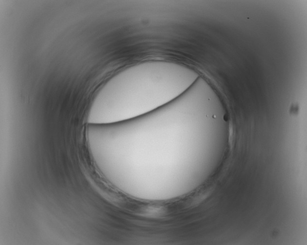 X0000114390157200910161040