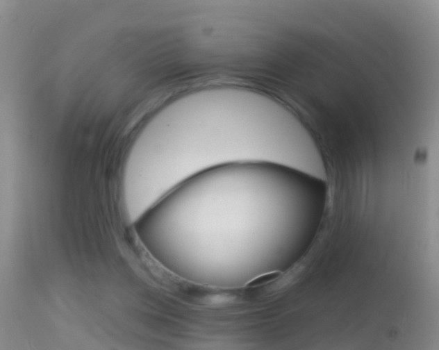X0000114390158200910161040