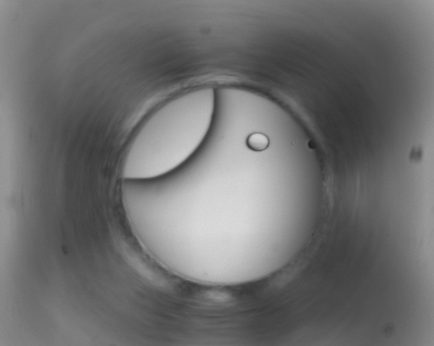 X0000114390159200910161040