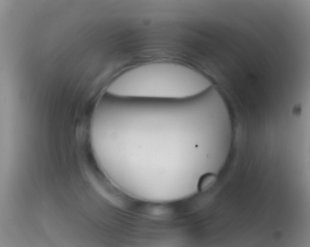 X0000114390165200910161041