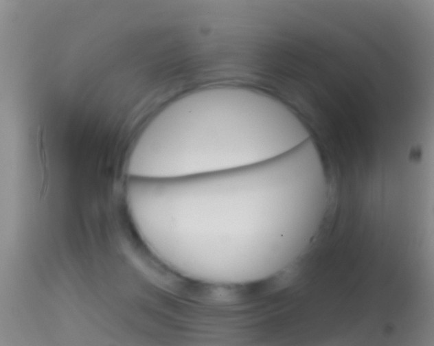 X0000114390166200910161041