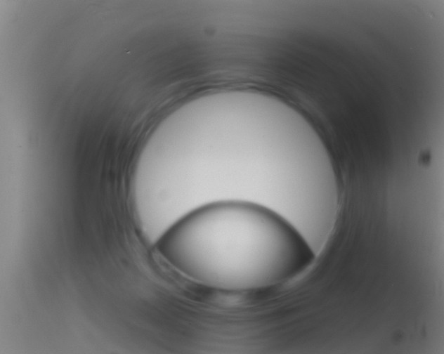 X0000114390170200910161041