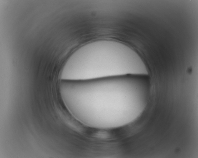 X0000114390171200910161041