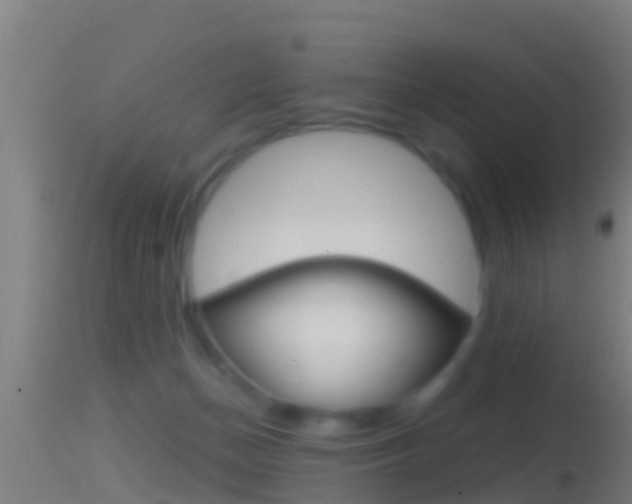 X0000114390174200910161041