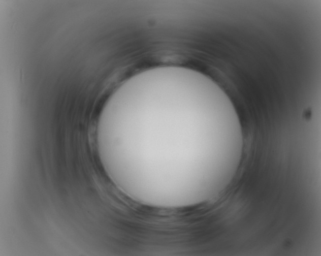 X0000114390175200910161041