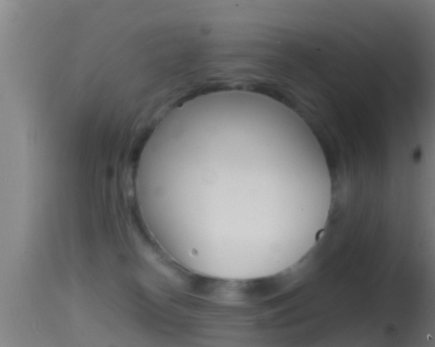 X0000114390182200910161041