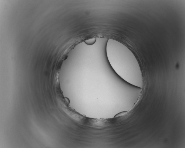 X0000114390191200910161041