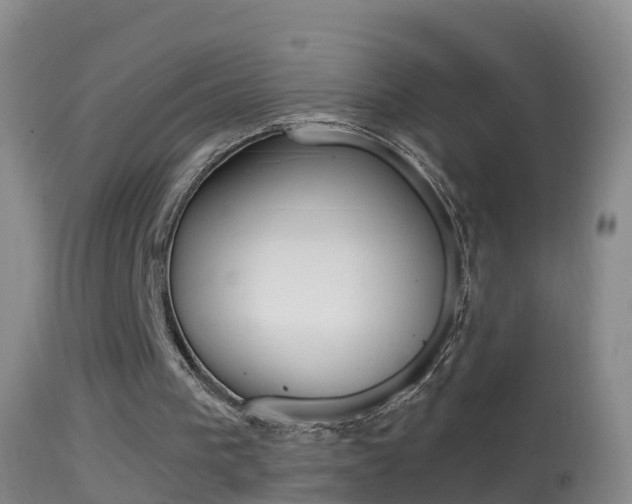 X0000114390193200910161040
