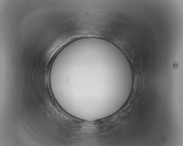 X0000114390194200910161040