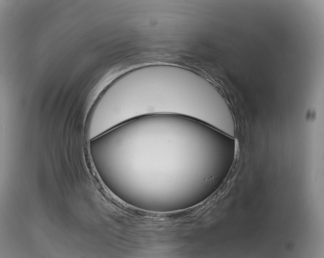 X0000114390195200910161040