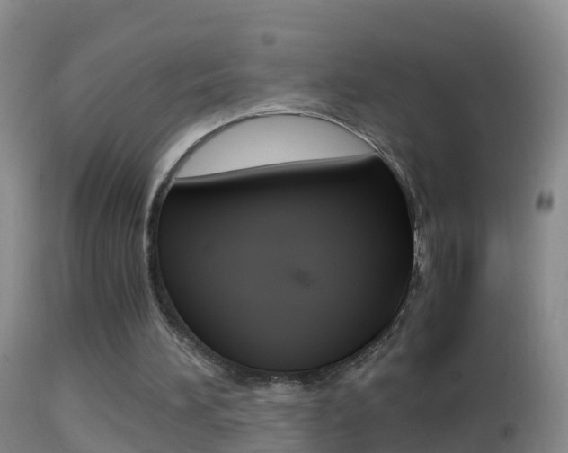 X0000114390196200910161040