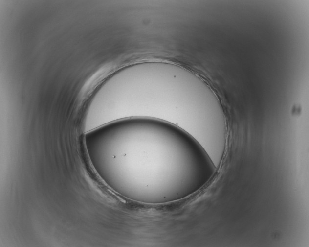 X0000114390197200910161040