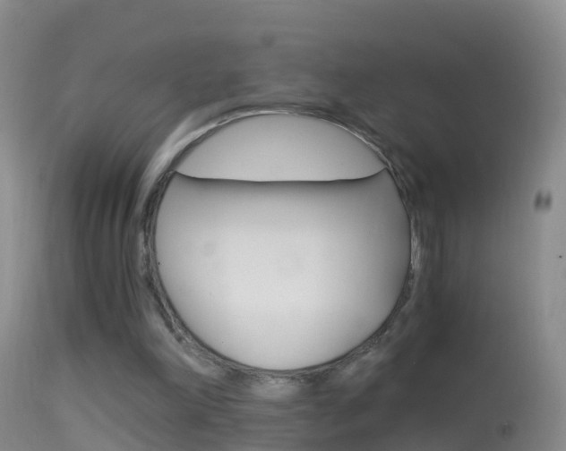 X0000114390198200910161040