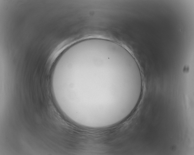 X0000114390199200910161040
