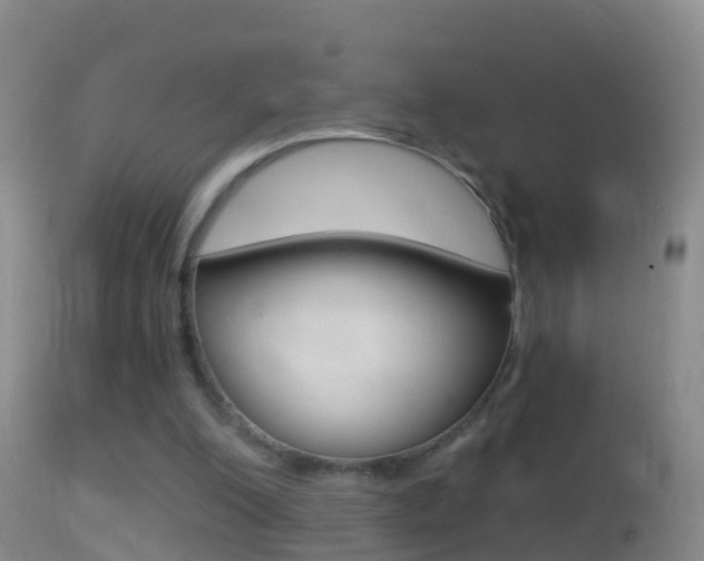 X0000114390200200910161040