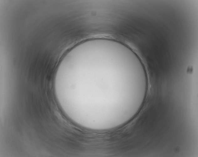 X0000114390201200910161040
