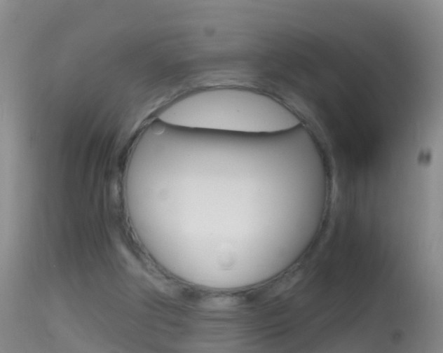 X0000114390202200910161040