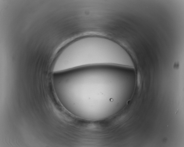 X0000114390204200910161040