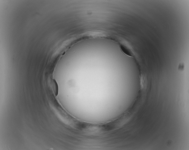 X0000114390205200910161040