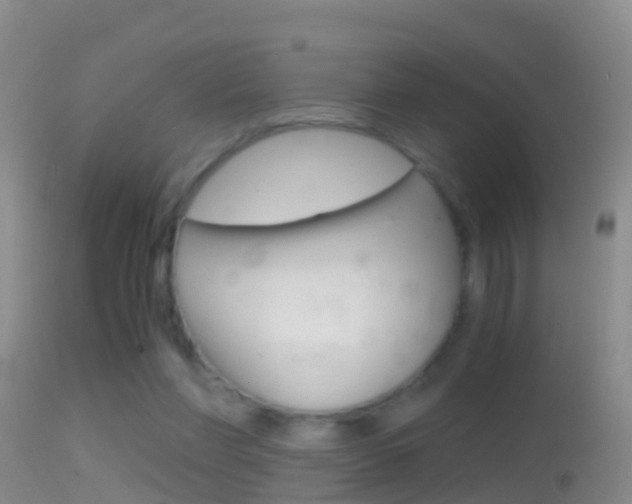 X0000114390206200910161040
