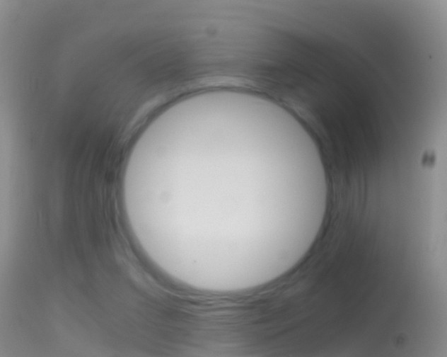 X0000114390207200910161040