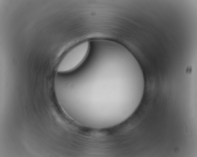 X0000114390208200910161040