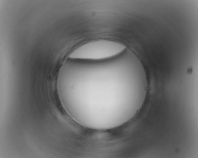 X0000114390210200910161040