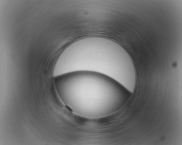 X0000114390211200910161040