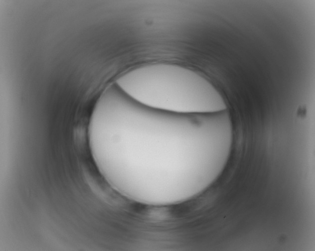 X0000114390214200910161040