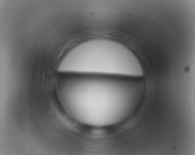 X0000114390216200910161040