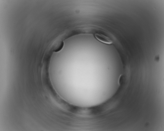 X0000114390217200910161040
