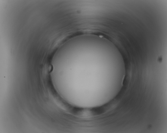 X0000114390219200910161040
