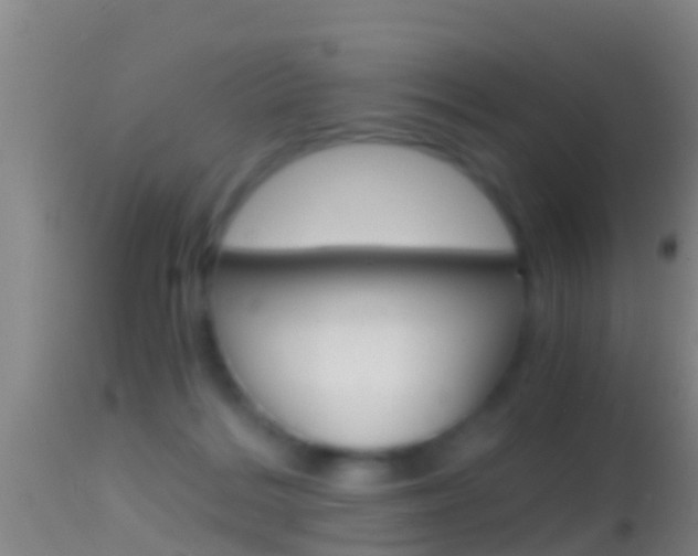 X0000114390220200910161040