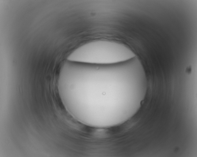 X0000114390222200910161040