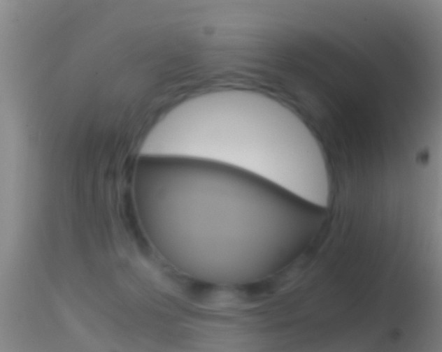 X0000114390223200910161040