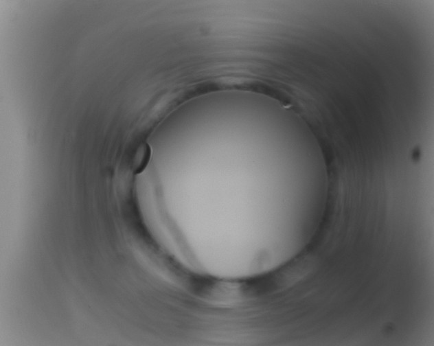 X0000114390227200910161040