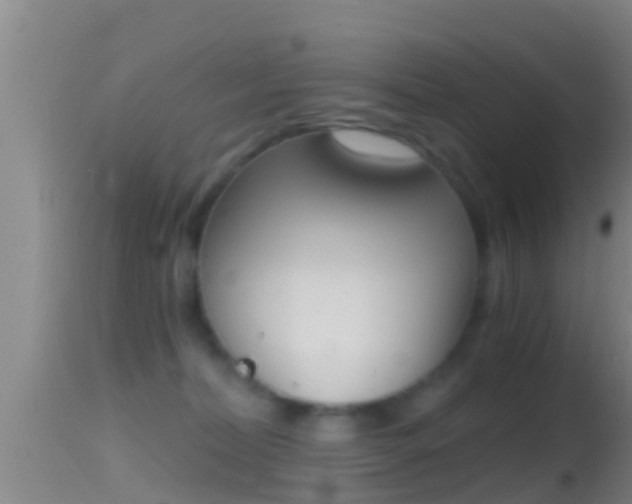 X0000114390228200910161040