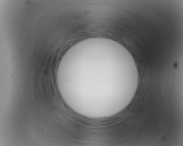X0000114390229200910161040